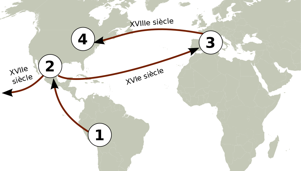 Diffusion de la tomate dans le monde