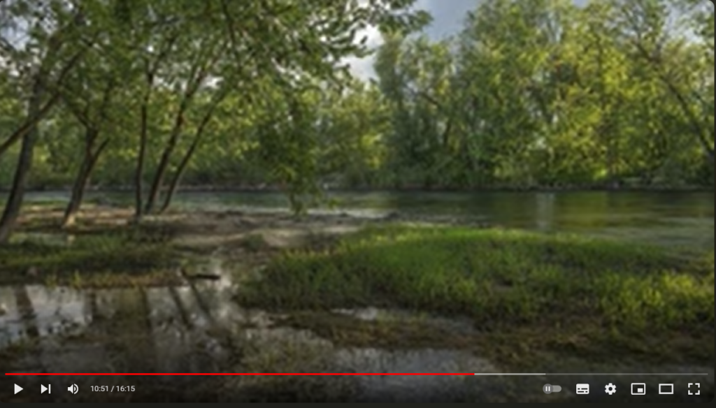 Rivière dans un sous-bois